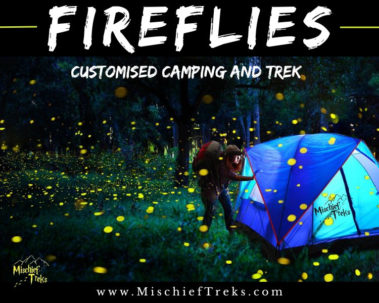 Customise Fireflies Festival 2025 Camping and Trekking, Copyright: Mischief Treks. Source: www.mischieftreks.com