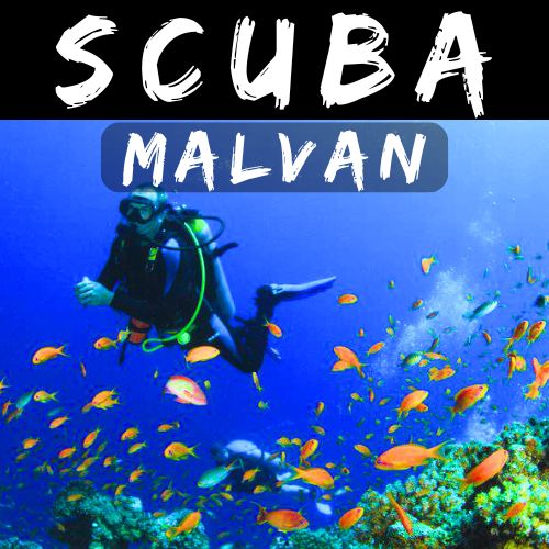 Malvan Tarkarli Scuba Diving Tour from Mumbai, Copyright: Mischief Treks. Source: www.mischieftreks.com