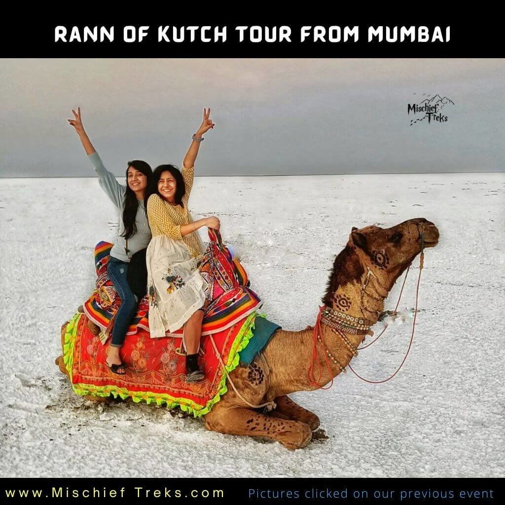 Exploring the best places to visit in Kutch: A Kutch travel guide with  insider tips - Thrilling Travel