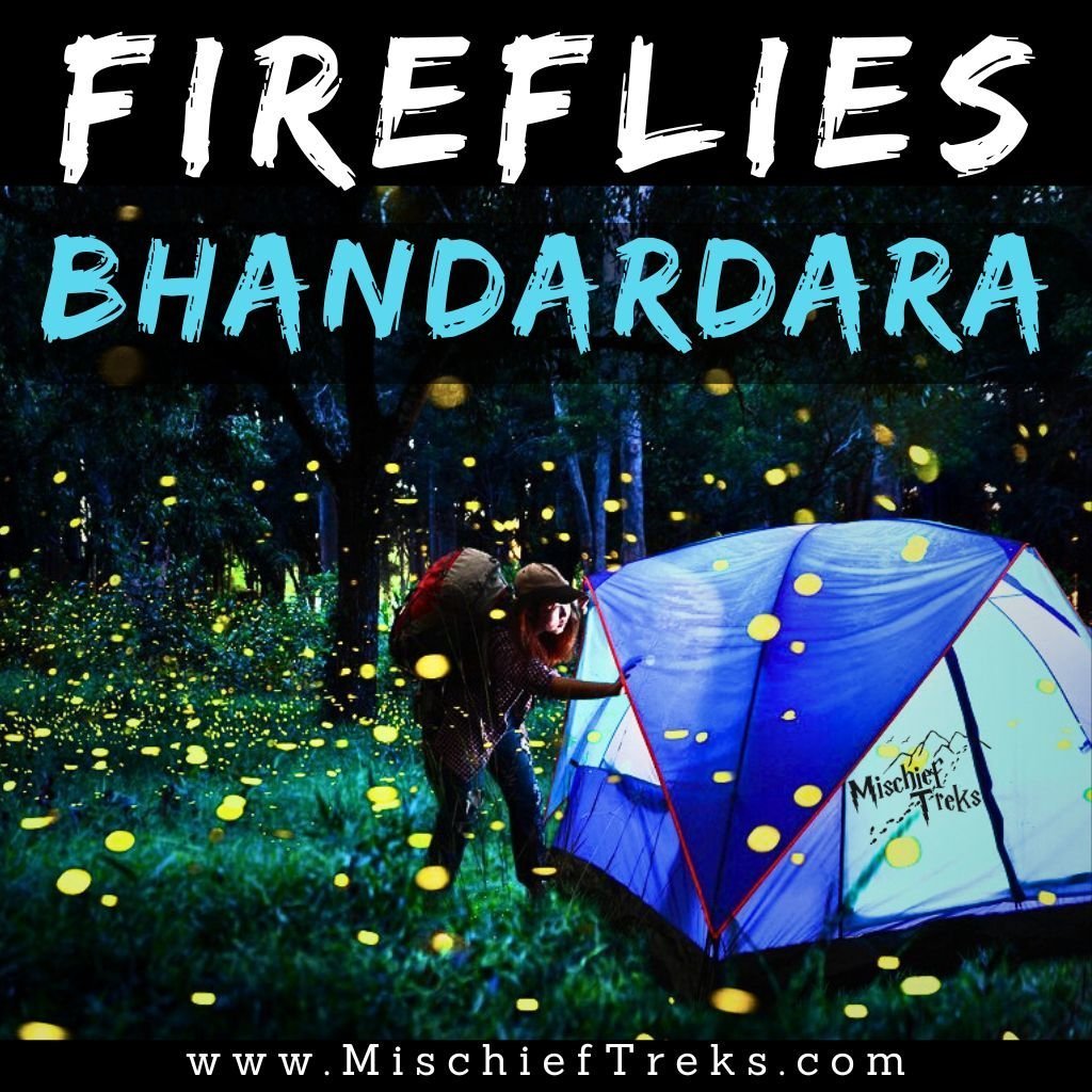 bhandardara fireflies trek