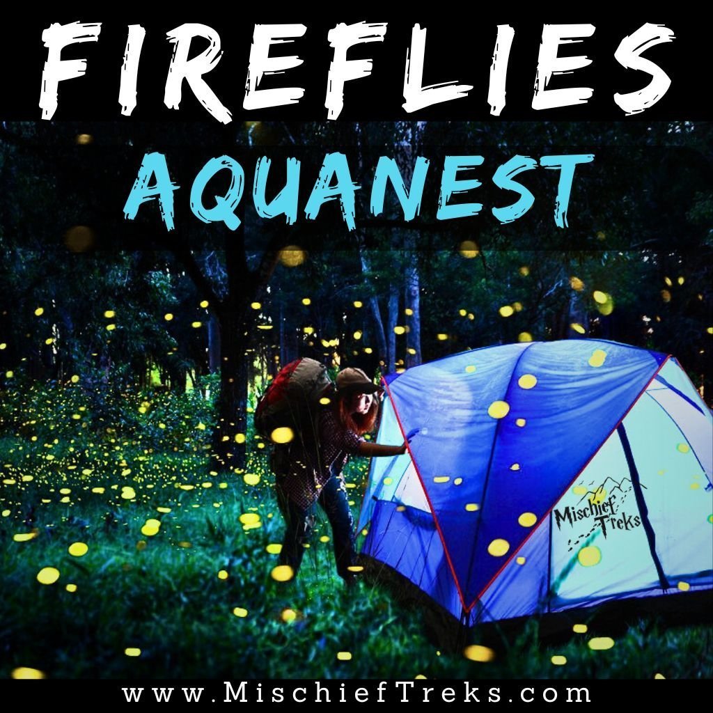 Fireflies Festival Igatpuri AquaNest™ Camping 2025